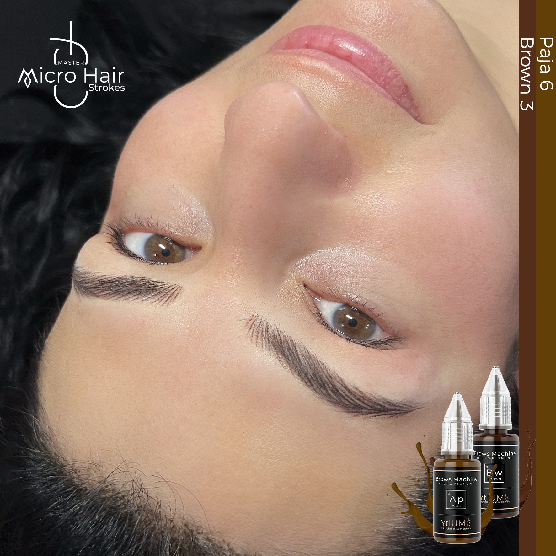 PIGMENTO BROWS MACHINE AP 6 PAJA 6 (15ML)