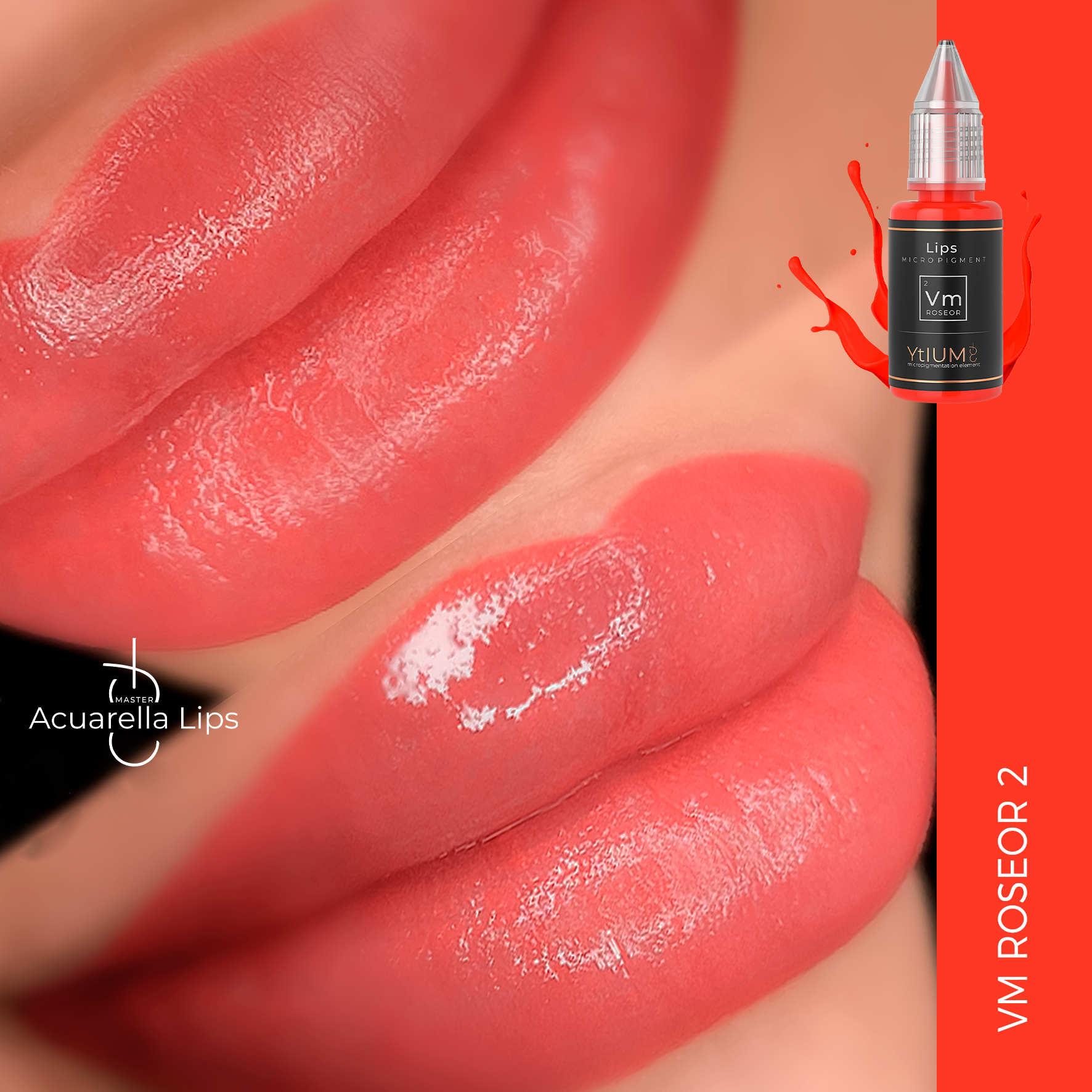 PIGMENTO LIPS VM 2 ROSEOR 2